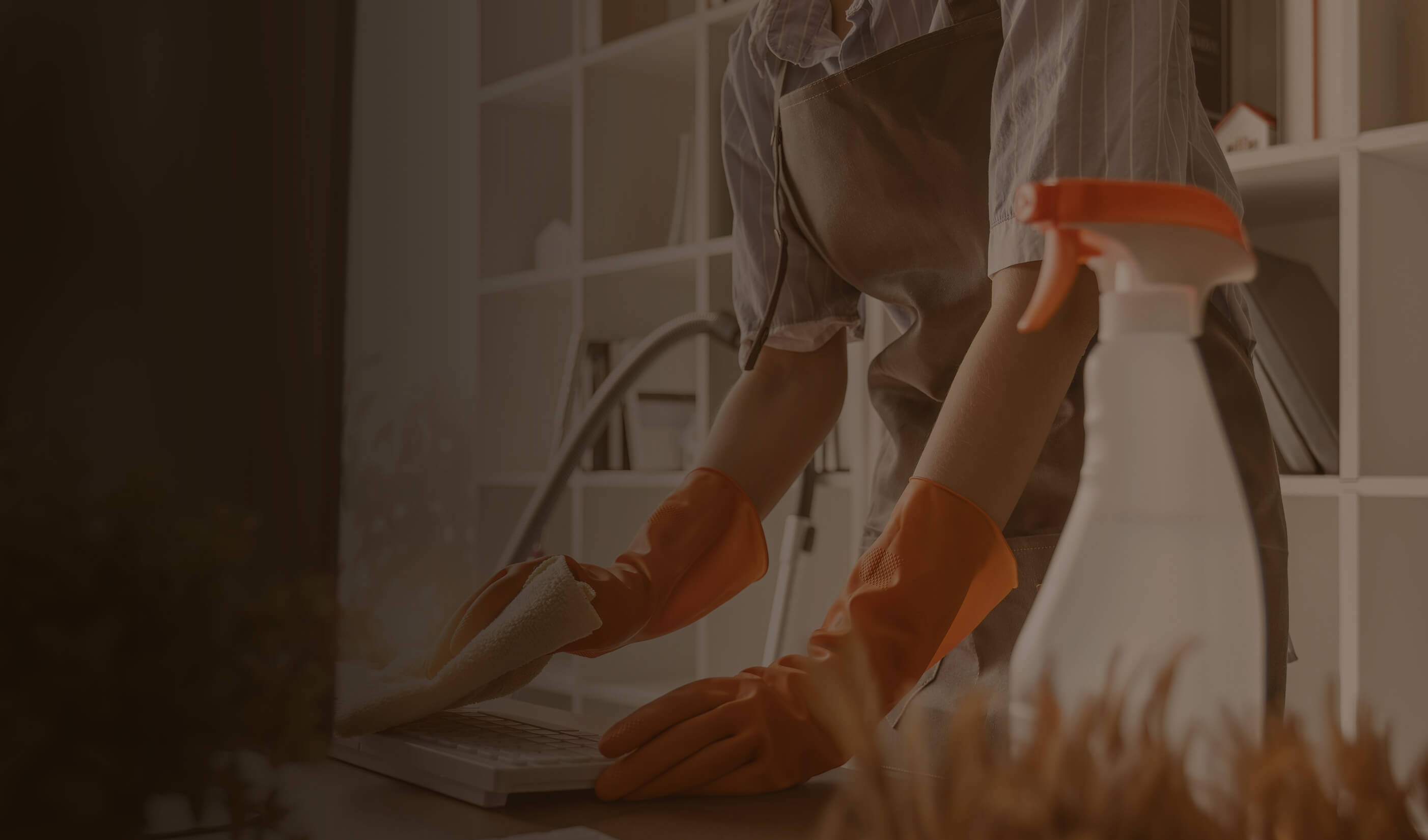 Professional cleaning service in Ottawa