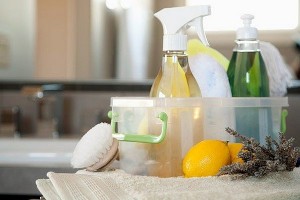 Ottawa house cleaning services - Spring Offer